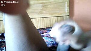 i love watching ts vixxen jasel cum