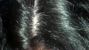 Latina amateur eagerly sucks massive big black cock in sloppy blowjob.