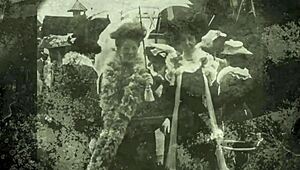 vintage hairy beaver antique