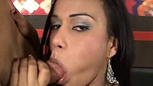 exploring high-quality ladyboy tube content in a casual setting