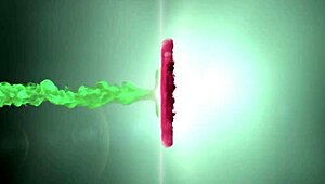 mature latina woman reunites with ex-husband in usa