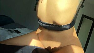 Lacey plays with toys during intense workout.