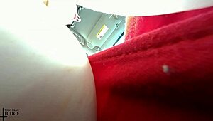 Tiny Husband Driven on Errand Run in HD