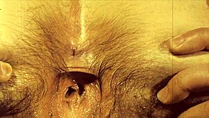 Dark Lantern Entertainment shares vintage closeups from secret erotic confessions.