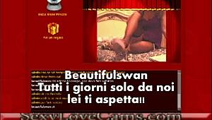 Beautiful Swan Webcam Show With Amateurs