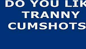 man, i’m so turned on watchin’ this tranny jerk and cum hard!