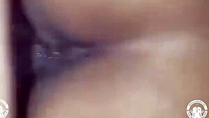 Banging Out These Sluts