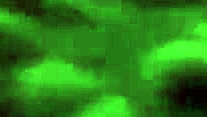 Banging Out These Sluts