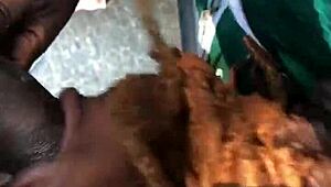 Mature ebony MILF ass licked in public car