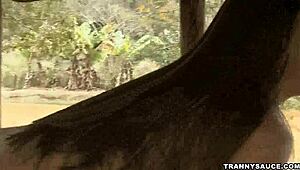 Big Breasted Shemale Babe Tugging Cock Outdoors