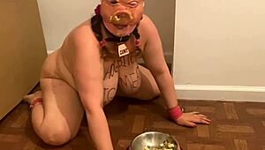 fuckpig justafilthycunt degraded oinking while eating from bowl like a whore