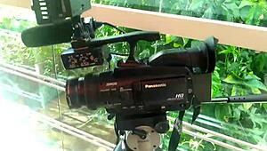 Gauchos Boldly Fuck Asses Outdoors In Public Voyeur Anal