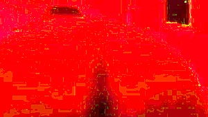 Watch this bbw latina ride that foot-long dildo with her big ass bouncing