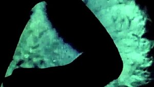 i love vintage glimpses of dark lantern entertainment's my secret life