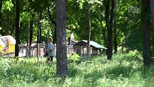 a polite exchange of pleasantries in a casual setting