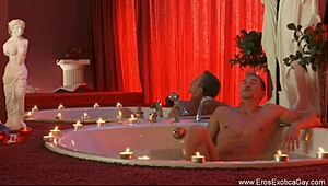 Hey, let's chat about becoming a sex expert together