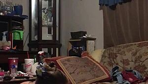 Drucsilla sucks her man's cock eagerly.