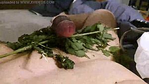 Exploring the wild side with stinging nettle play in a secluded forest. It’s a daring fetish adventure.