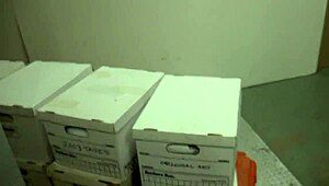 In the park, Felicity Feline TEASES with her tits before giving a PUBLIC BLOWJOB to amateurs.