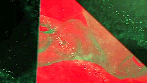 An innovative therapy session unfolds with remarkable success, captivating everyone involved.