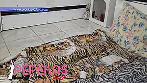 hey stellastill sp, wanna fulfill my anal fantasy while wife’s away? full vid on x video red