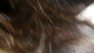 Wow, that sucking is insanely good head!