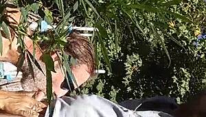 Intense Suck and Fuck in 420 Patch.