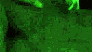 I got bent over and fucked hard in the shower