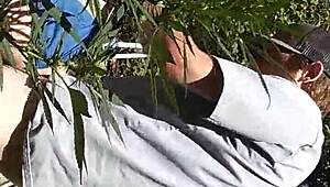 Intense Suck and Fuck in 420 Patch.