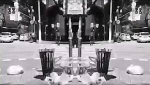 gorgeous goddesses emme white venusss model lisxxx day mattos in wild orgy on red complete