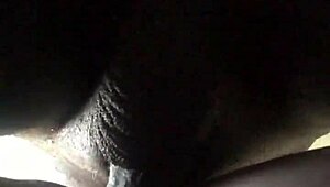 Ace boogie shows off her tight wet pussy and big ass in sensual play.