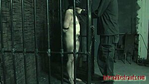 Rough Cock Sucking Competition In Hardcore Porn