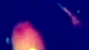 They're fucking hard on borrowed time at home