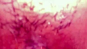 Wife Moans Loudly During Intense Anal Fucking And Cums Hard