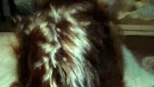 The mature wife cheats with intense doggystyle sessions, bending over eagerly.