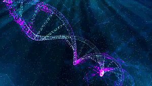 HFO Hentai Succubus Clench Training in Episode 1