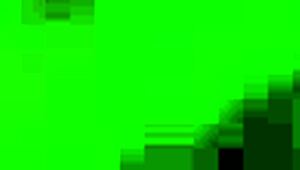 sexy horny brunette deepthroats and gets fucked hard in missionary