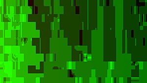 If you want videos, I just need a good camera to send them