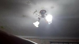 Fat BBW Wife Shows Big Tits And Ass