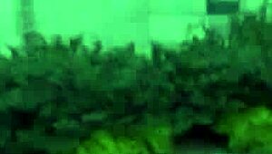 What do you see in this outdoor public city?