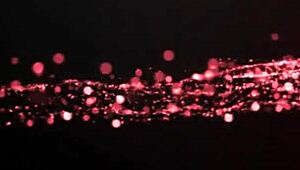 Luis Garay enjoys fucking his tattooed slut at home in various positions.