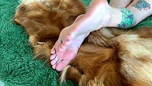 sexy feet n toes... nika dominatrix owns me, ya know?