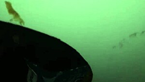 homemade amateur casting behind scenes with milf and gloryhole