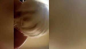 blonde backpage girl, you suck my cock so well, don't you?