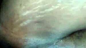 Tattooed Pornstar Enjoys Fun Time