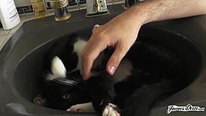 Nerdy girls Sara Luvv and April O'Neil turn into sluts