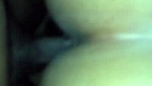 Buckshots fired in the backseat of the car during the ride