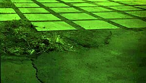 female muscle domination hits hard first time, unless you're stuck in the sixties