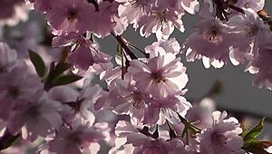 Hey Cristian Cipriani, teach us your dirty porn tricks today!