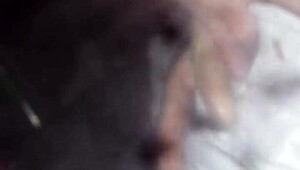 feeling the throbbing of this rock hard cock